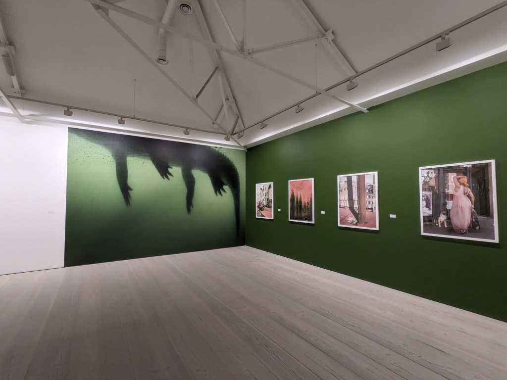 Photography exhibitions in London in&nbsp;2025